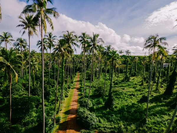 Droga Palmami Odizolowane Niebie Tropikalnej Wyspie Koh Mak Tajlandii — Zdjęcie stockowe