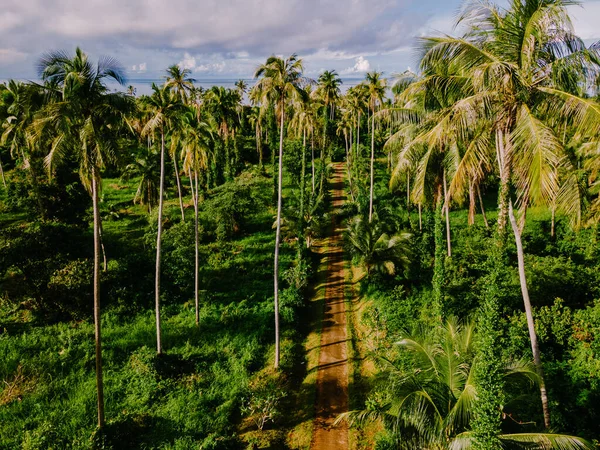 Droga Palmami Odizolowane Niebie Tropikalnej Wyspie Koh Mak Tajlandii — Zdjęcie stockowe