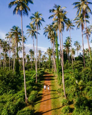 Koh Mak Tayland adasında palmiye ağaçları arasında yürüyen erkekler ve kadınlar. Koh Mak adasında dev palmiye ağaçları