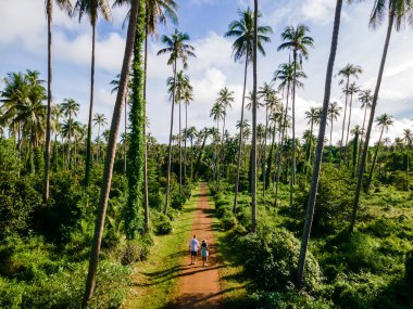 Koh Mak Tayland adasında palmiye ağaçları arasında yürüyen erkekler ve kadınlar. Koh Mak adasında dev palmiye ağaçları