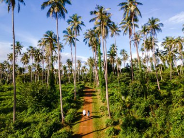 Koh Mak Tayland adasında palmiye ağaçları arasında yürüyen erkekler ve kadınlar. Koh Mak adasında dev palmiye ağaçları
