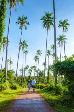 Koh Mak Tayland adasında palmiye ağaçları arasında yürüyen erkekler ve kadınlar. Koh Mak adasında dev palmiye ağaçları