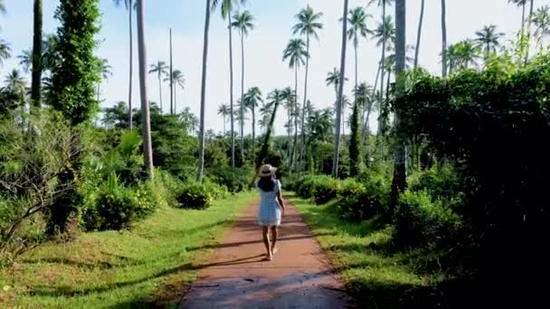 Mujeres Asiáticas Caminando Por Camino Entre Palmeras Isla Koh Mak — Vídeo de stock