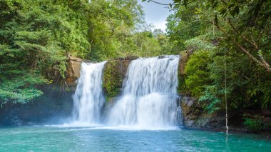 Koh Kood Adası Tayland Şelalesi, Khlong Chao Şelalesi Koh Kood Tayland Şelalesi yağmur ormanları 