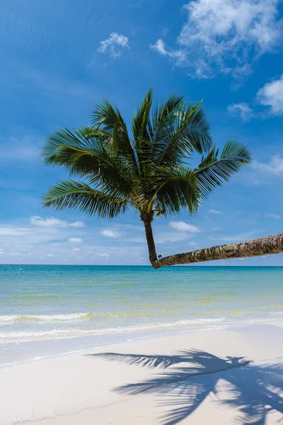 Tropisk Strand Med Palmetrær Øya Koh Kood Thailand Hengende Palmetrær – stockfoto