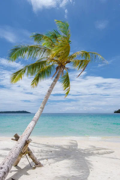 Tropical beach with palm trees at the Island of Koh Kood Thailand. Hanging palm trees on the white tropical beach with blue ocean, tropical beach with hanging palm tree