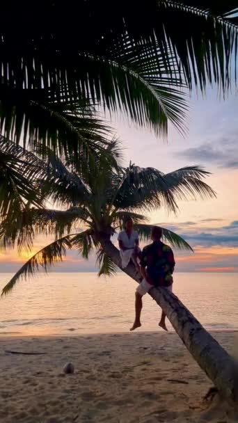 Hombres Mujeres Relajándose Una Palmera Una Playa Tropical Viendo Puesta — Vídeos de Stock