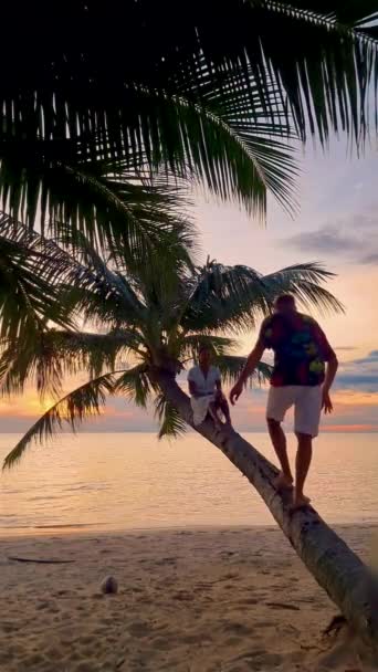 Mannen Vrouwen Ontspannen Een Palmboom Een Tropisch Strand Kijkend Naar — Stockvideo