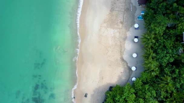 Drone Aerial View Beach Beach Chairs Umbrella Tropical Island Koh — Videoclip de stoc