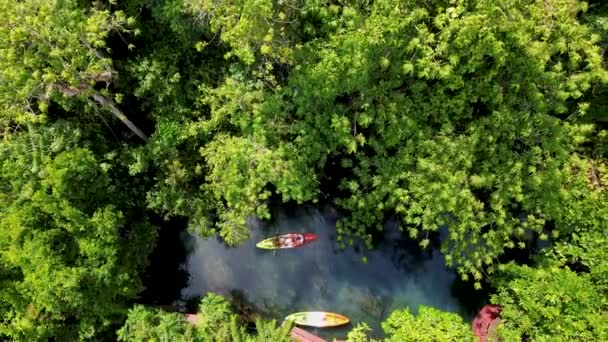 Couple Kayak Jungle Krabi Thailand Men Women Kayak Tropical Jungle — Stockvideo