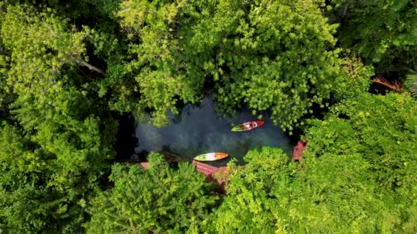 Couple Kayak Jungle Krabi Thailand Men Women Kayak Tropical Jungle — Stock Video