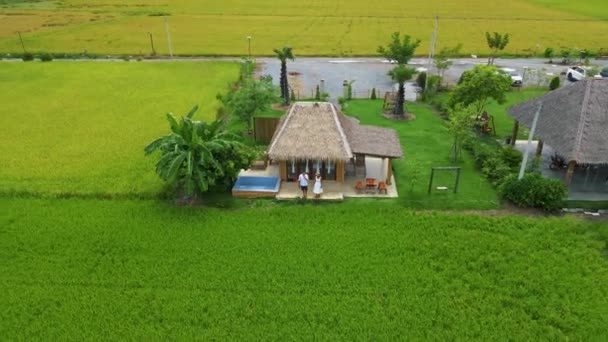 Couple Men Women Visiting Homestay Farm Green Rice Fields Green — Stock Video