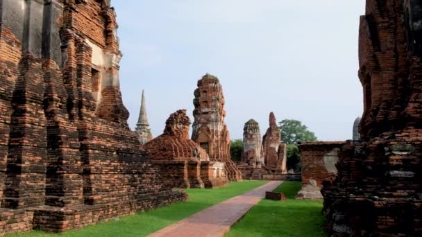 Ayutthaya Thailand Wat Mahathat Temple Stupa Pagoda Morning Ayyuthaya Thailand — 비디오