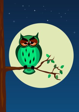 Baykuş bir dalda oturuyor