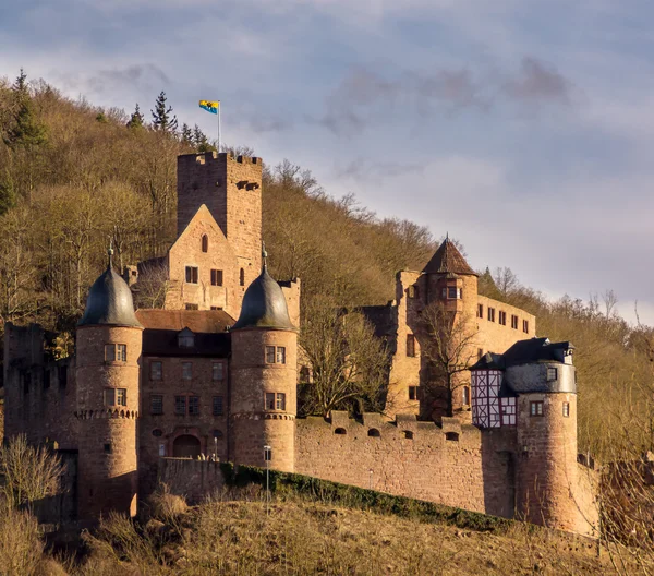 Castello Wertheim am Main — Foto Stock