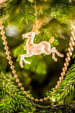 chrsitmas Ren geyiği