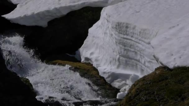 在解冻的河流 — 图库视频影像