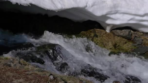 Río en el deshielo — Vídeos de Stock