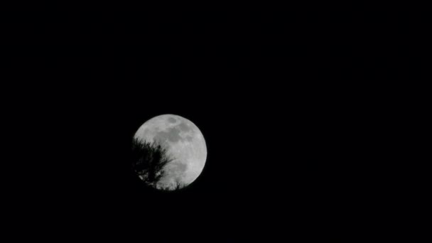满月 — 图库视频影像