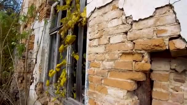 見捨てられた建物の窓 ハシディー朝 シナゴーグビル ルジン市 ズヒトミル地域 ウクライナ — ストック動画