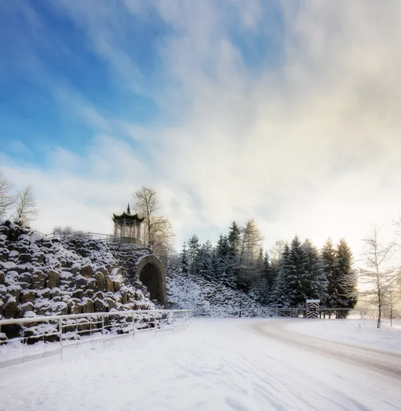 Large Caprice in Alexander Park in winter — Stock Photo, Image