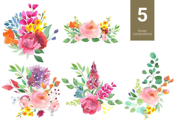 Sada Akvarel Složení Květin Listí Bílém Pozadí — Stock fotografie