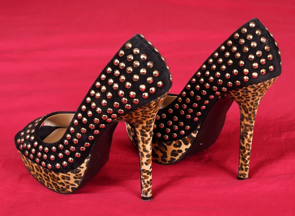 Heels — Stock Photo, Image