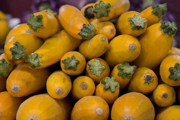 Squash — Stock fotografie