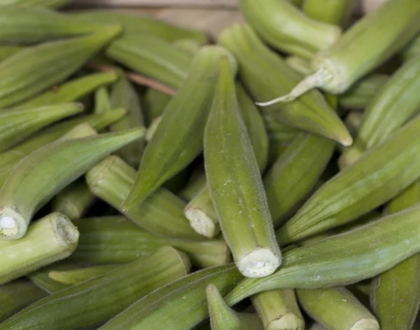 Okra. — Fotografia de Stock