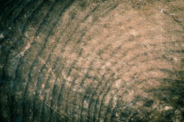 metin veya resim alanı olan ahşap aşınmış arka plan