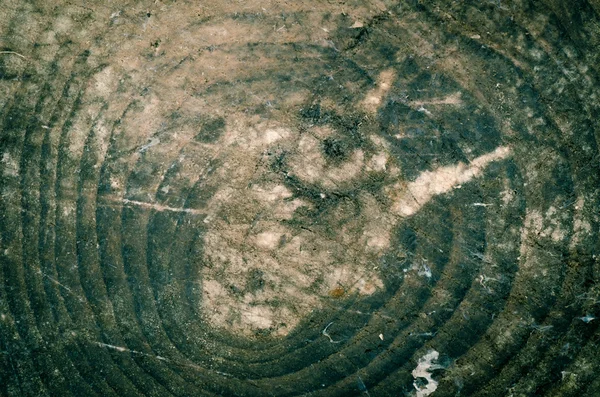 Metin veya resim alanı olan ahşap aşınmış arka plan — Stok fotoğraf