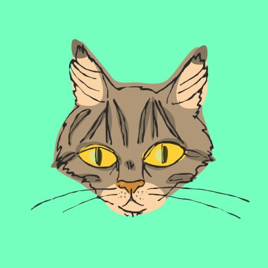 Bıyıklı burun kahverengi kedi