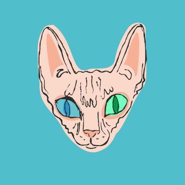Namlu kedi Sfenks