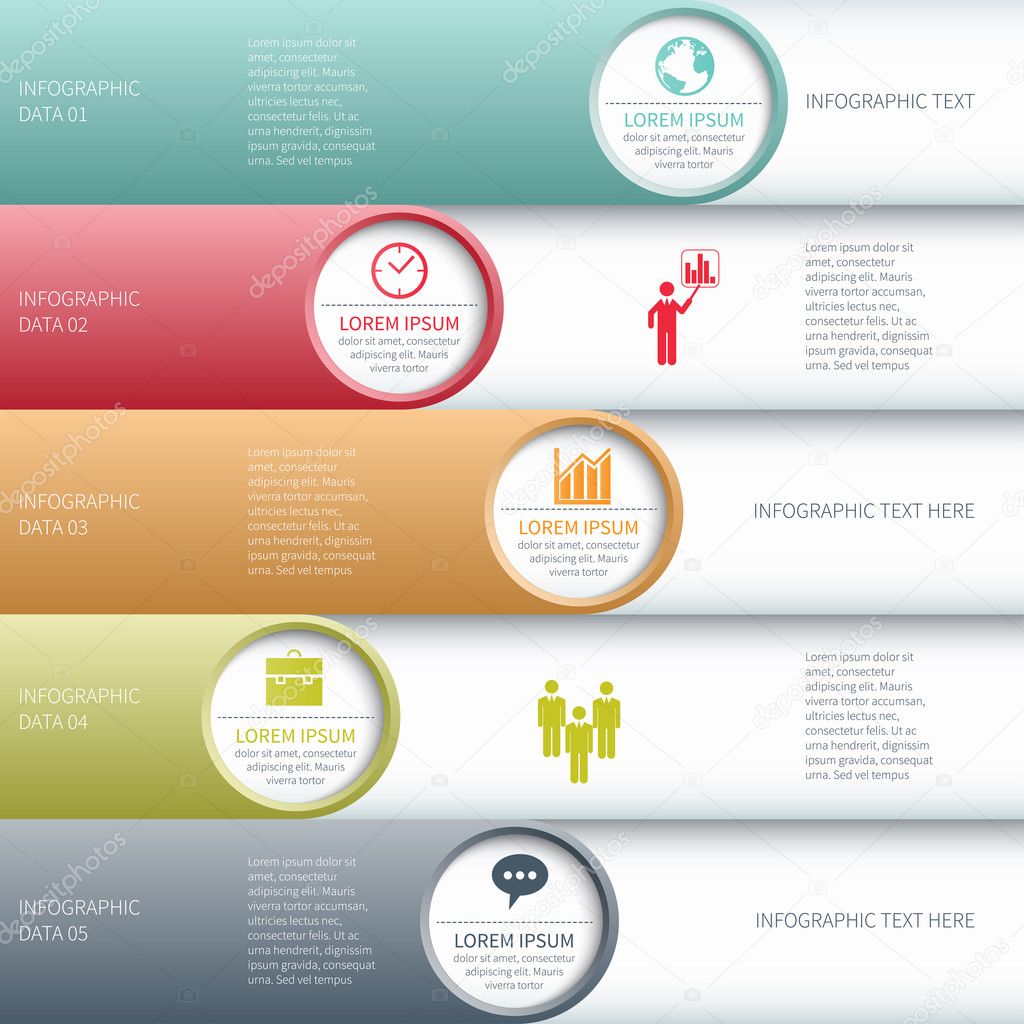 Modern business infographics options banner.