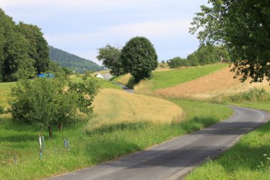 eğri yol