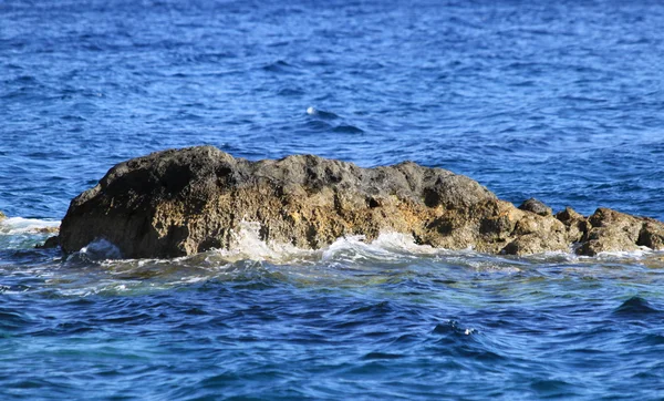 Seastone. — Foto de Stock