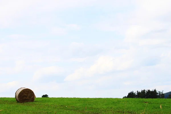 Landscape with Hays — Stock Photo, Image