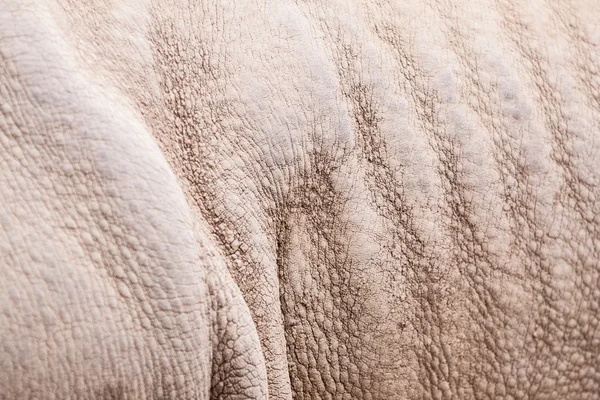 Rhinoceros pattern — Stock Photo, Image