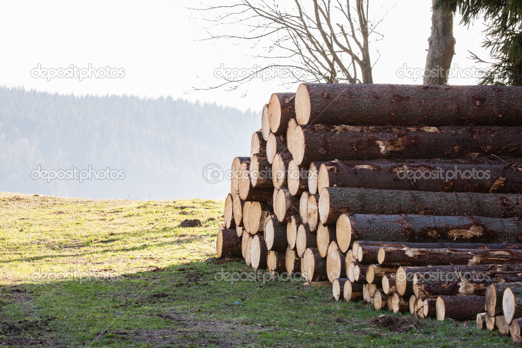 Logs on field