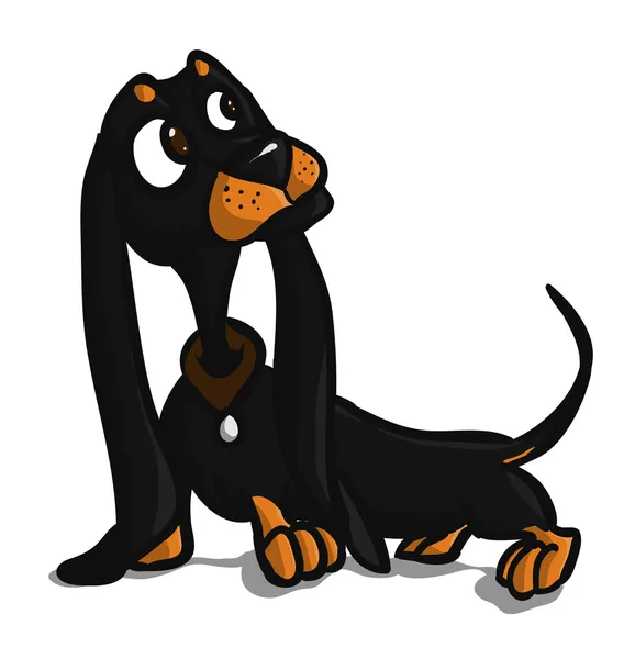 Dachshund — Stock Vector