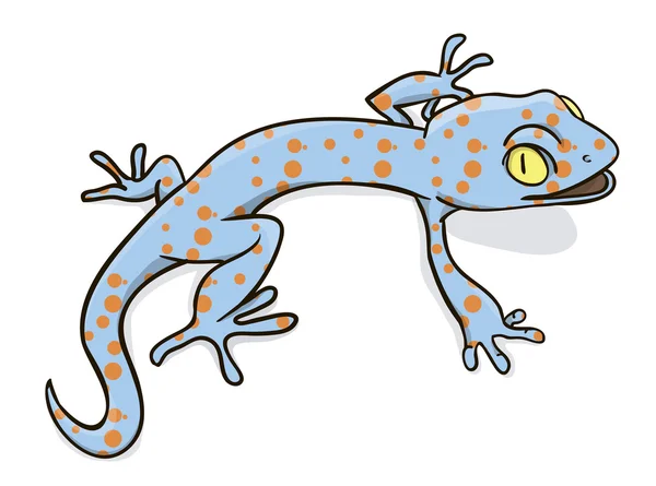 Gecko. — Vector de stock