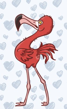 Flamingo