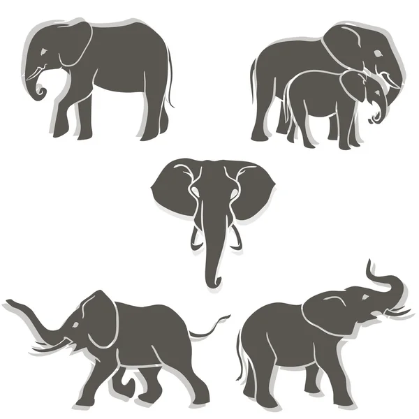 Set of elephants b&w — Stock Vector