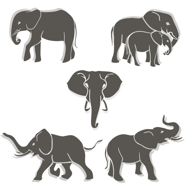 Set of elephants b&w