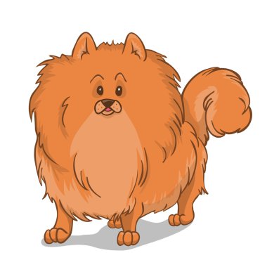 pomeranian 개 레드