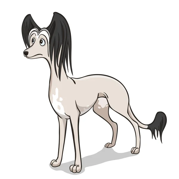 Chinese crested dog — Stock Vector