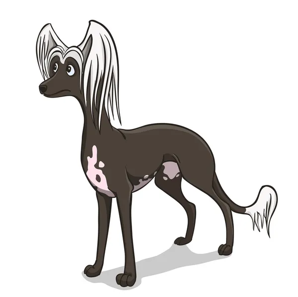 Chinese Crested dog — Stockvector
