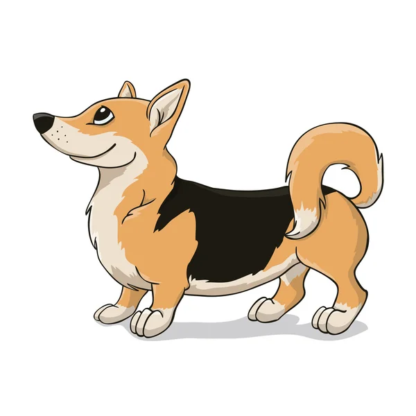 Welsh Corgi with black back — Stock Vector