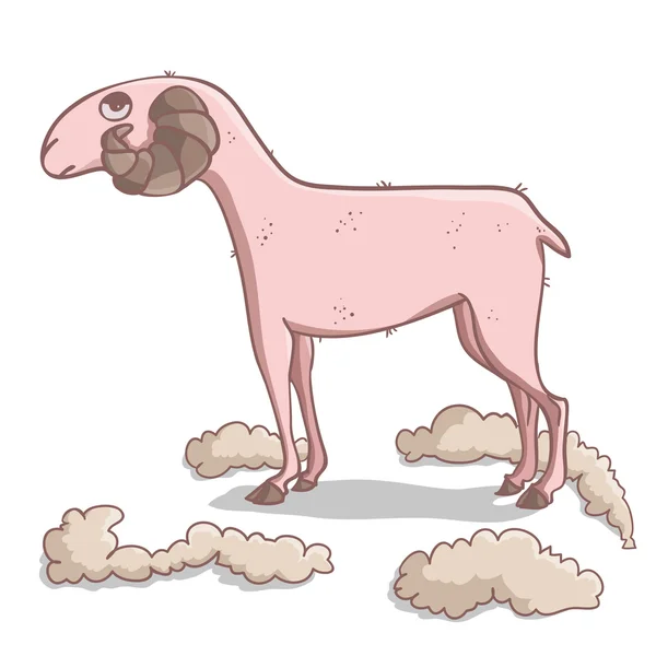Ovce zdobené — Stockový vektor