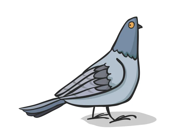 Güvercin — Stok Vektör